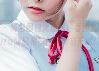 波萝社 – 秘密图包大放送，看猫九酱Sakura如何将原图玩转成艺术！